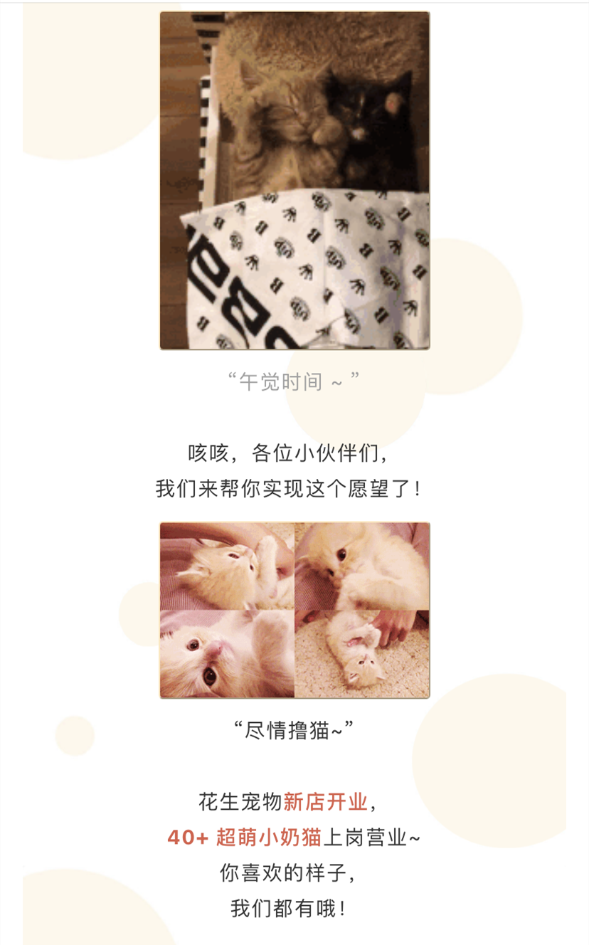 IMG_1693.PNG