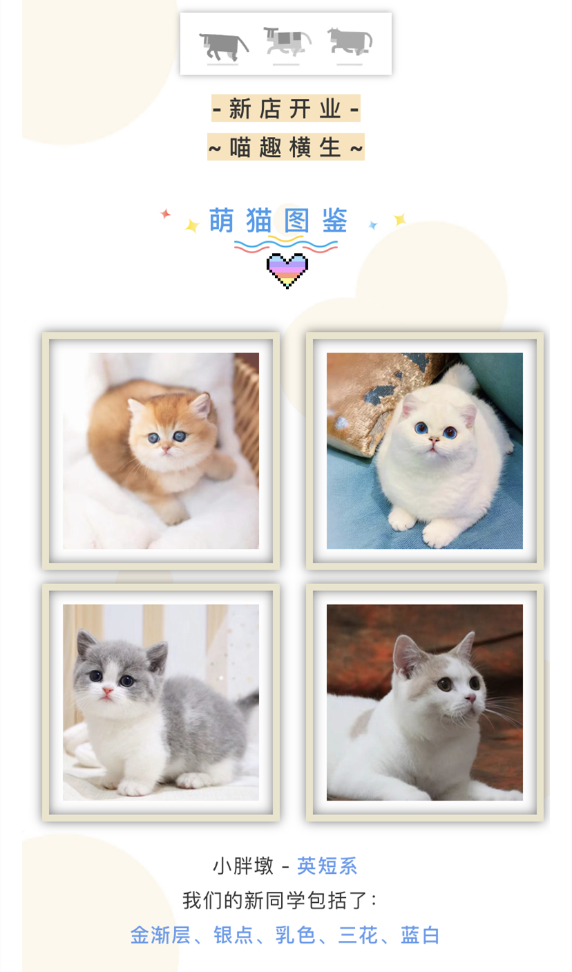 IMG_1694.PNG