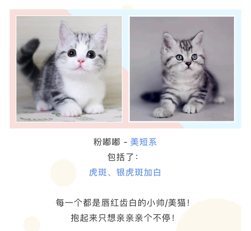 IMG_1695.PNG