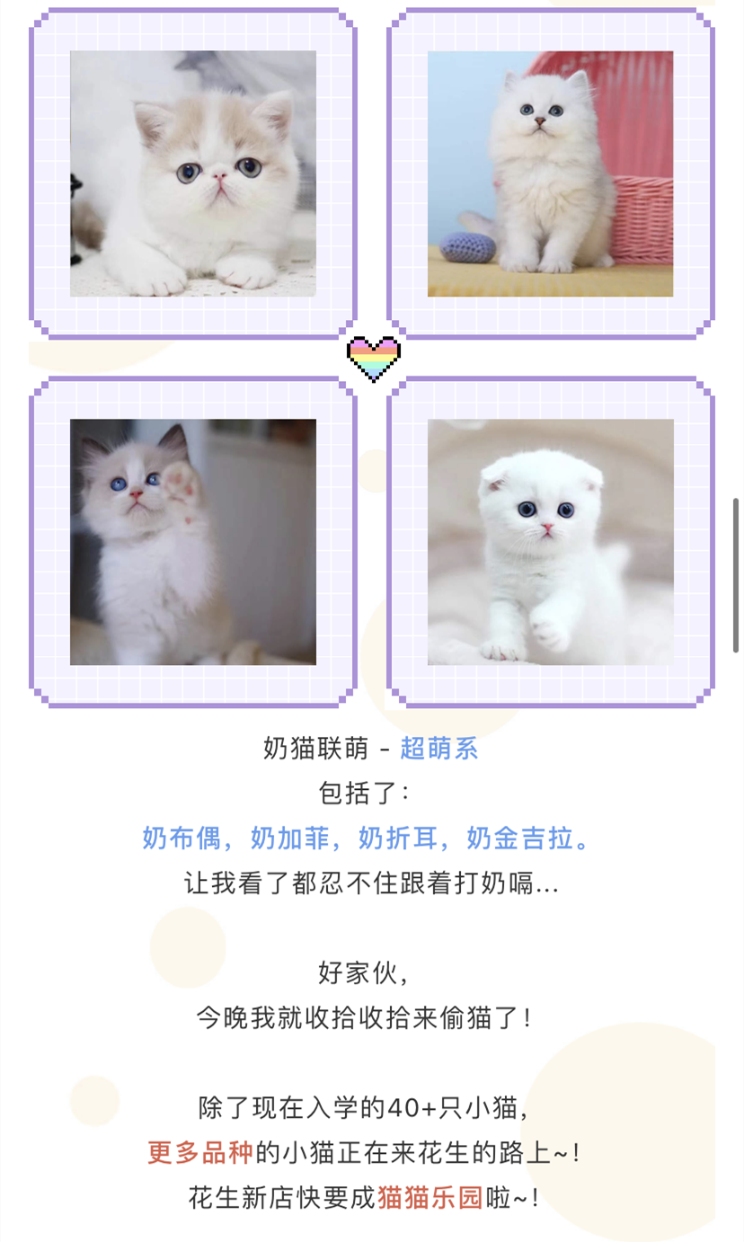IMG_1696.PNG