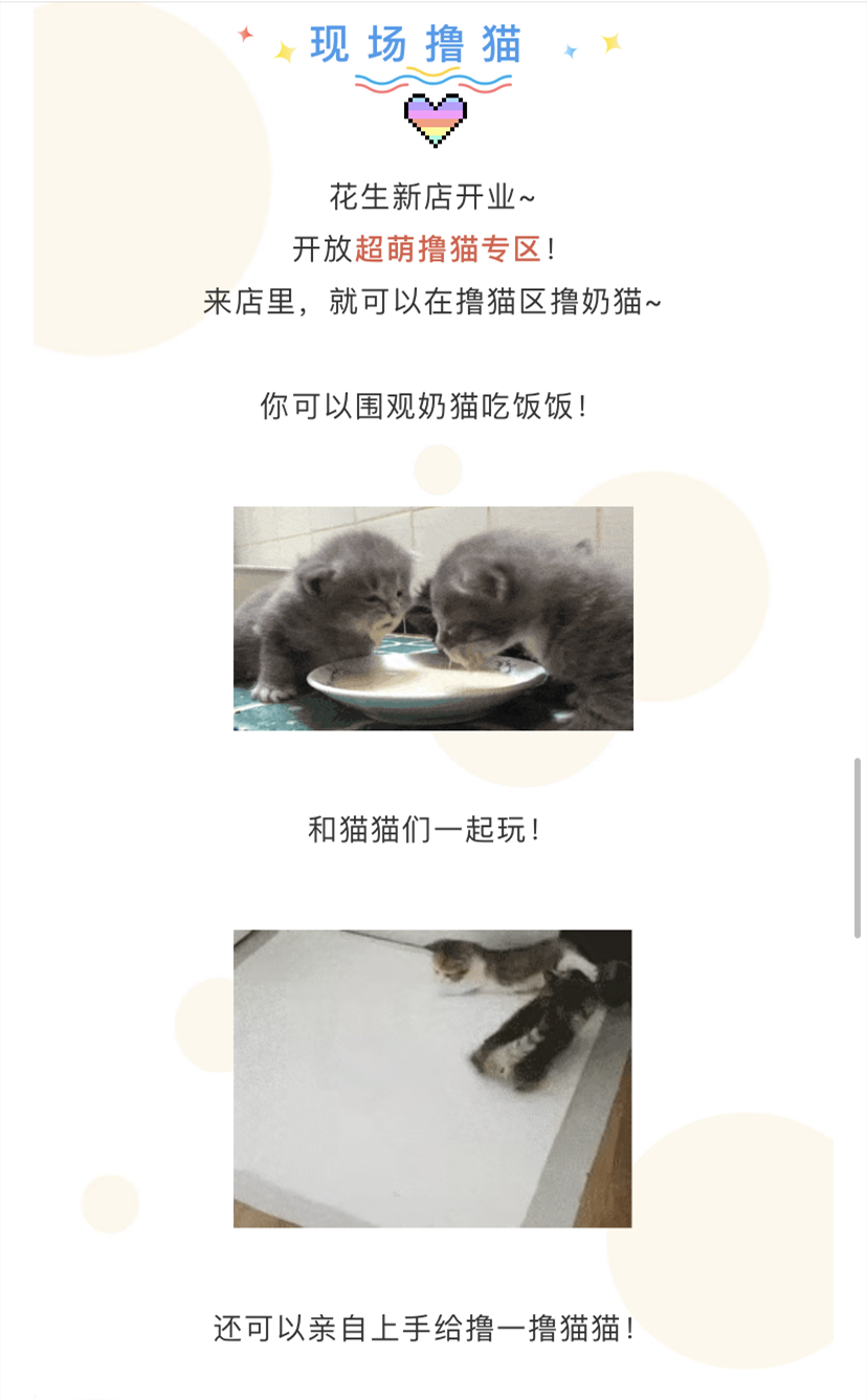 IMG_1697.PNG