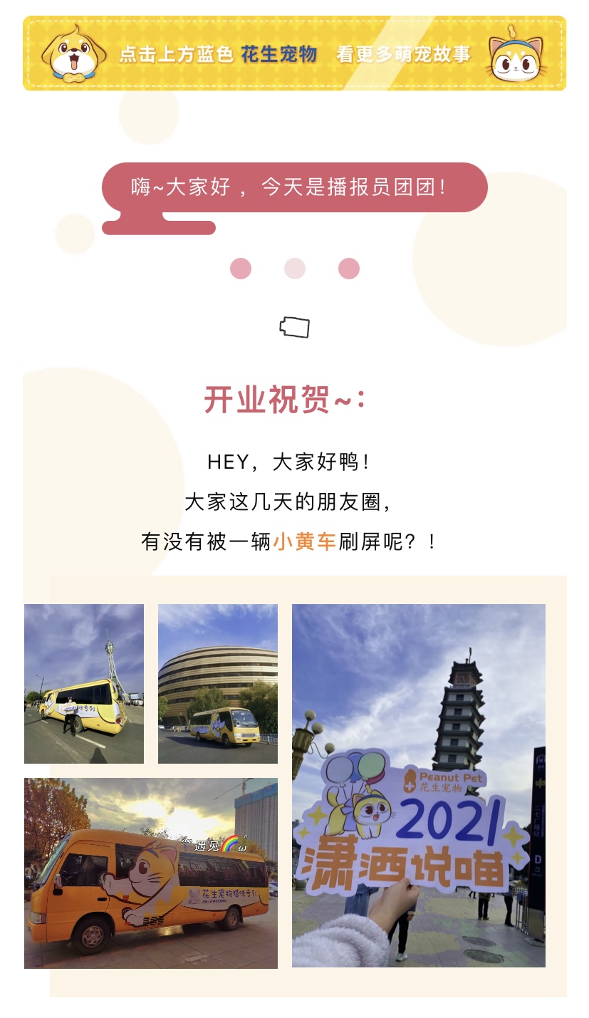 IMG_1890.PNG