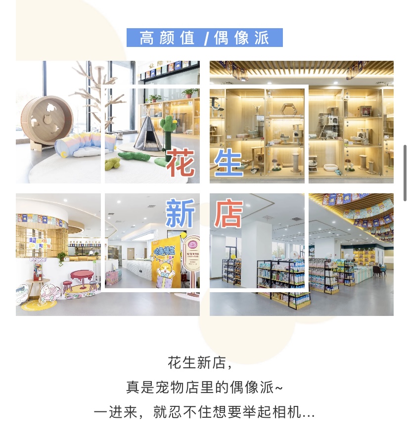 IMG_1894.PNG