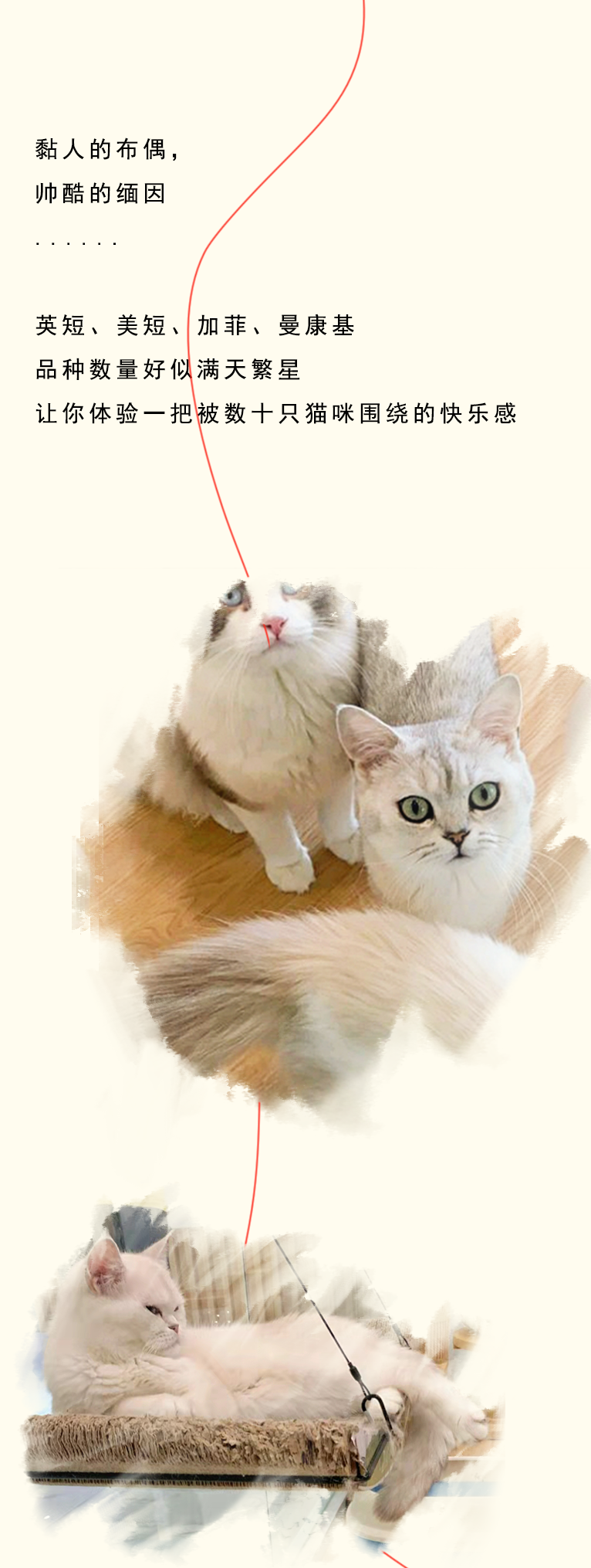 ??3??_09.png